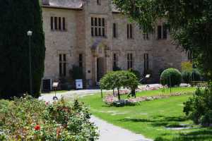 carrick hill 2014 (78)